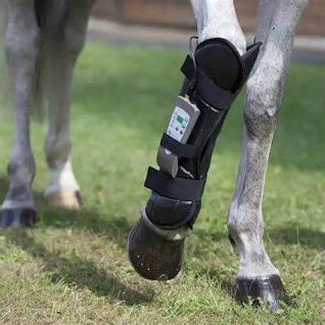 Therapy device fitted around a horse's leg